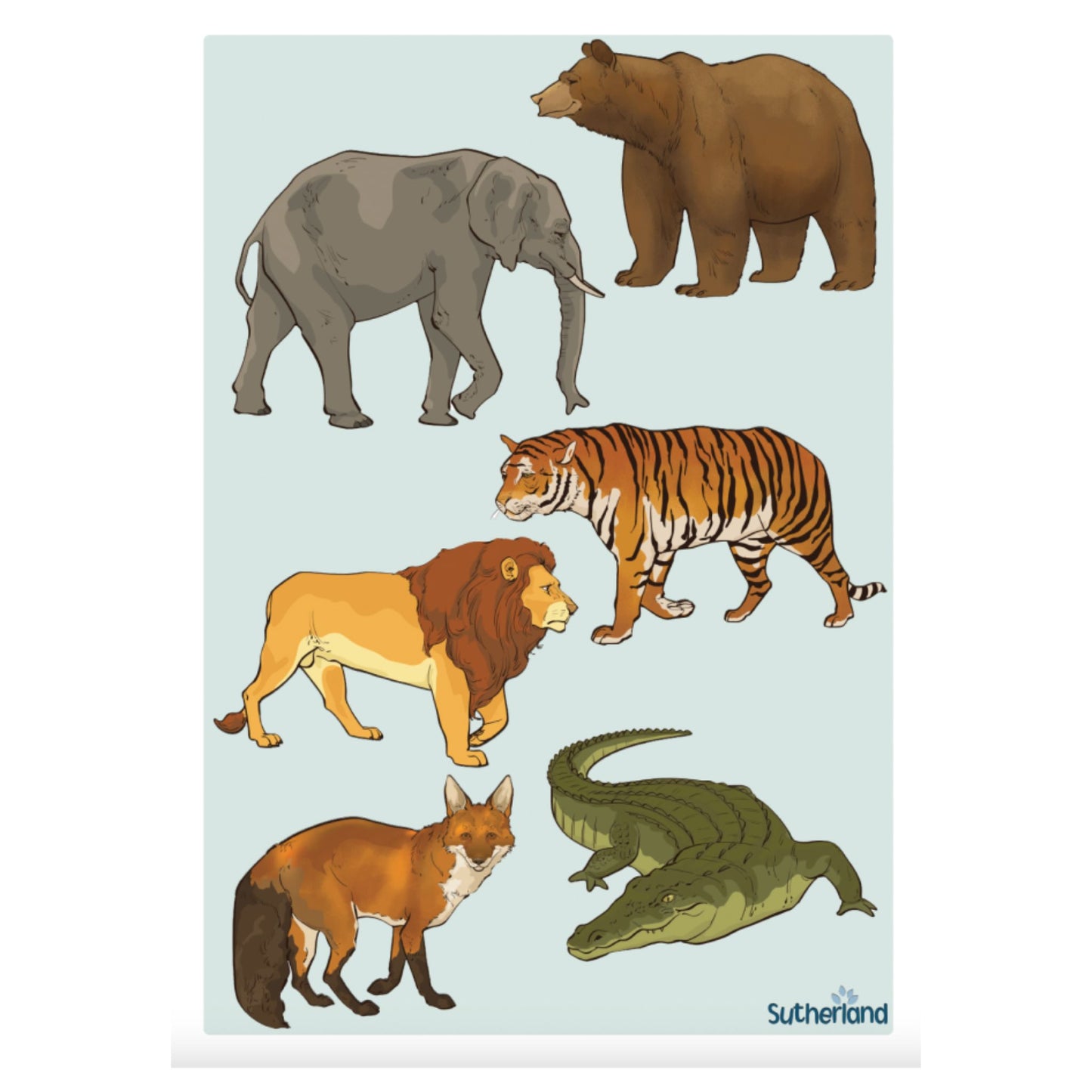 Animal Poster