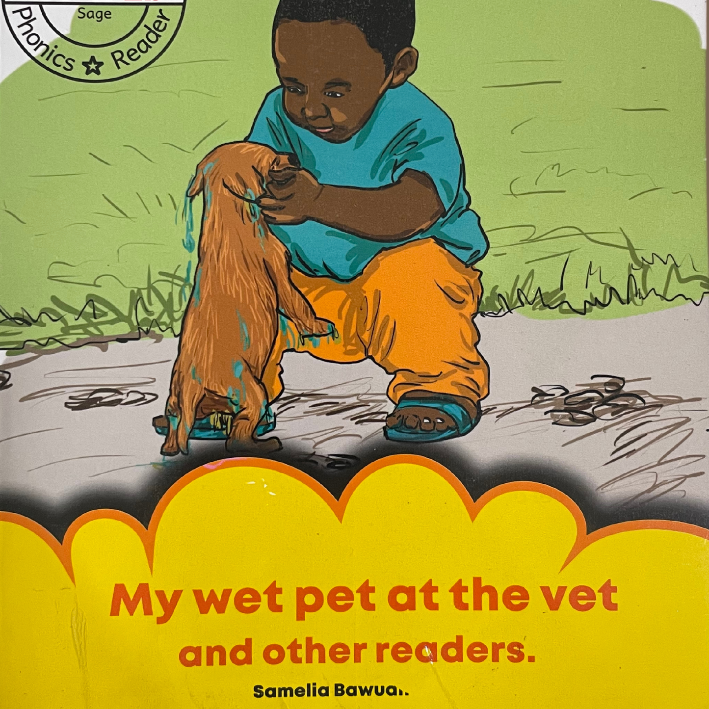 Beginning to Read (Reinforced Phonics Reader 2b): My wet pet at the vet and other Readers