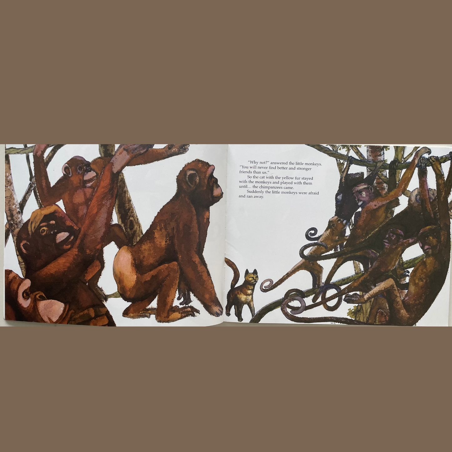 Cat in search of a friend