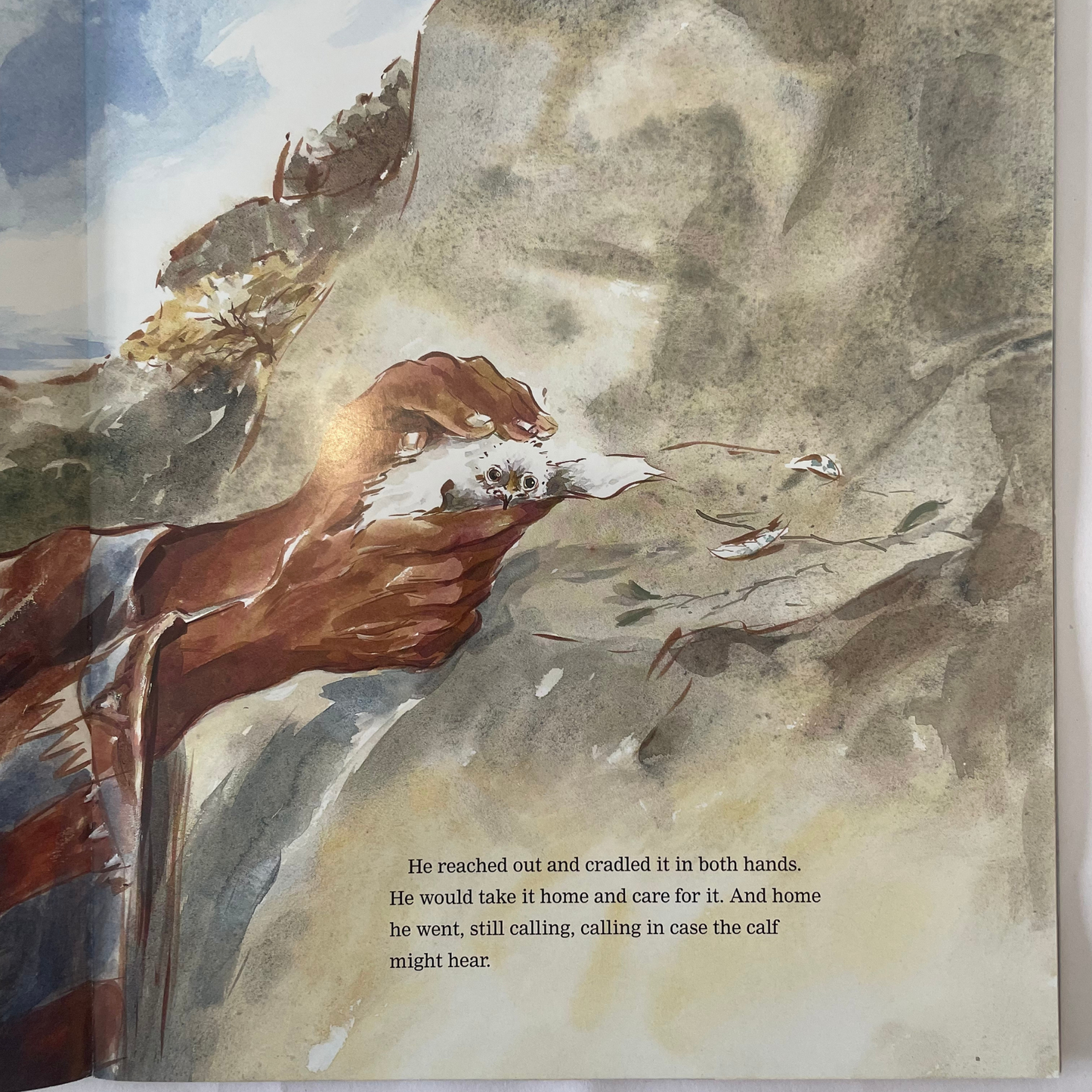 Fly, Eagle Fly: An African Tale