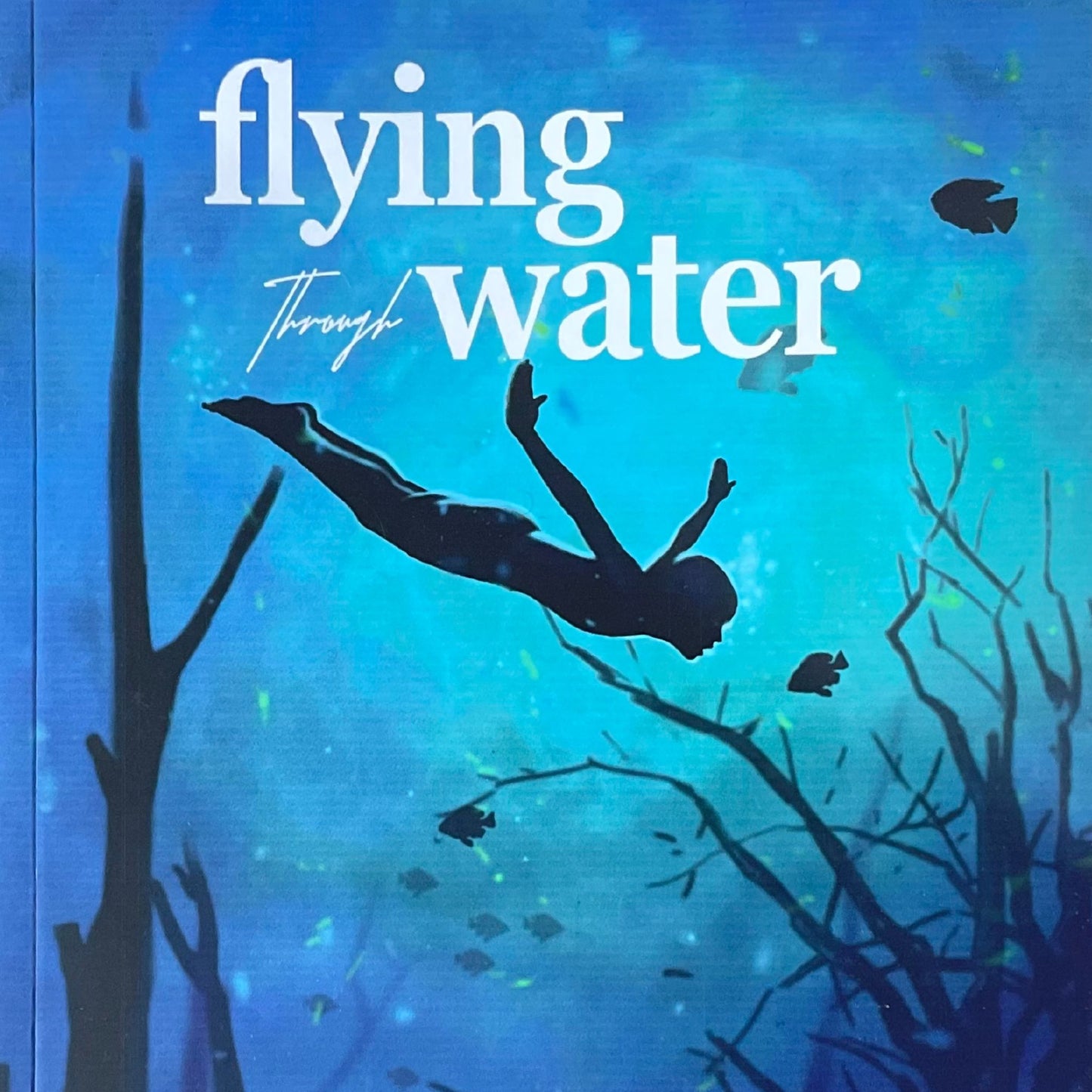 Flying Through Water