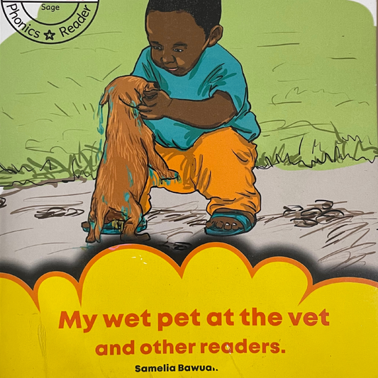 Beginning to Read (Reinforced Phonics Reader 2b): My wet pet at the vet and other readers