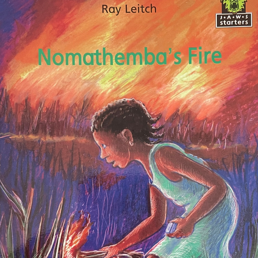 Nomathemba's fire