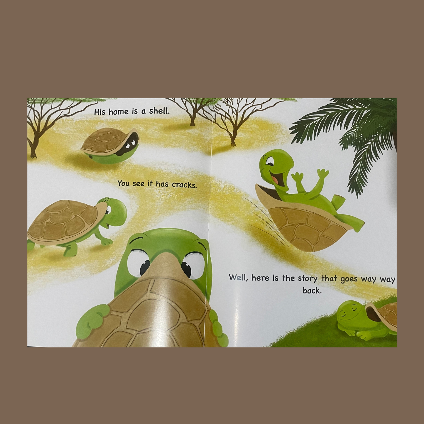 The Turtle's Cracked Shell
