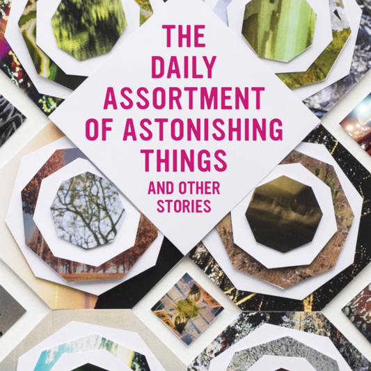 The Daily Assortment of Astonishing Things And Other Stories